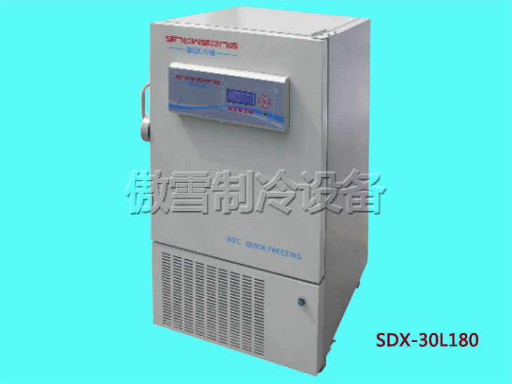 ѩ-20-30ٶSDX-30L180