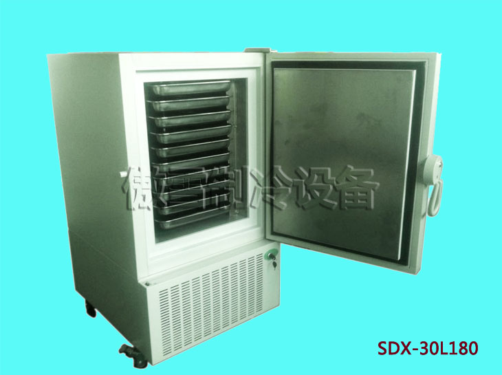 ѩ-20-30ٶSDX-30L180