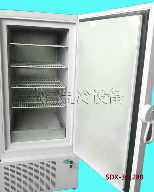 ѩ-20-30ٶSDX-30L280